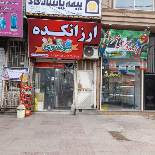 عکس ارزانکده موسوی
