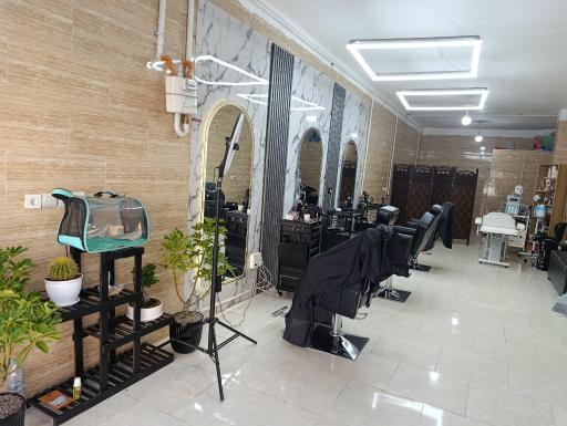 عکس پیرایش آرین