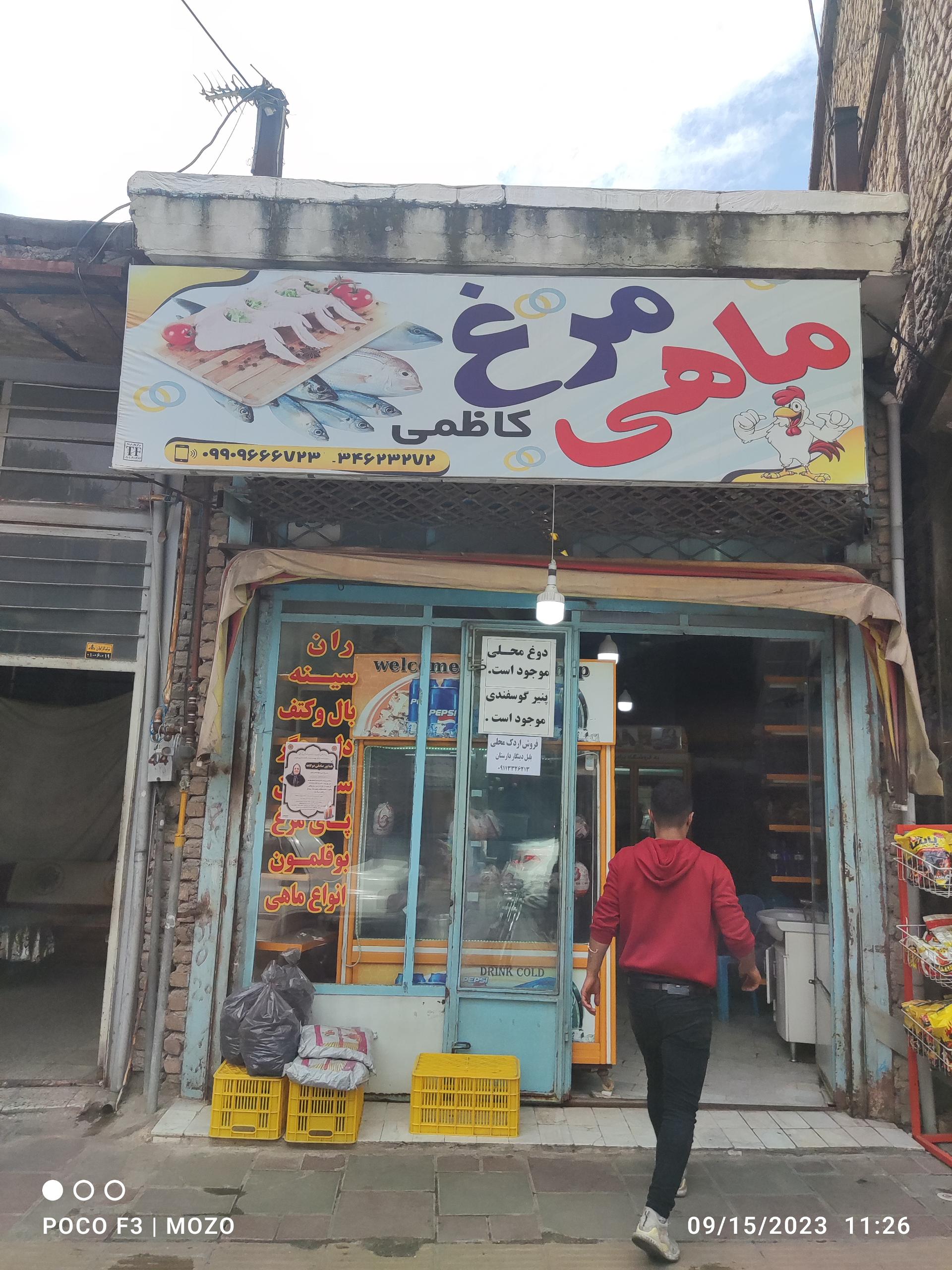 عکس مرغ و ماهی کاظمی