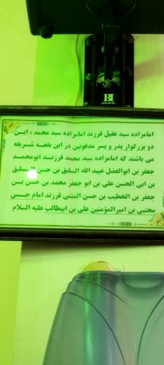 عکس زیارتگاه امامزادگان محمد و عقیل علیهما السلام 