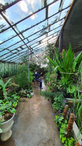 عکس گلخانه آموزشی و تحقیقاتی گروه زیست شناسی دانشگاه فردوسی