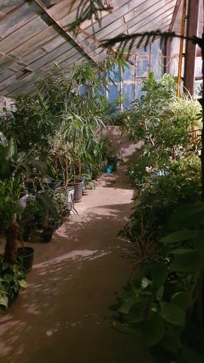 عکس گلخانه آموزشی و تحقیقاتی گروه زیست شناسی دانشگاه فردوسی