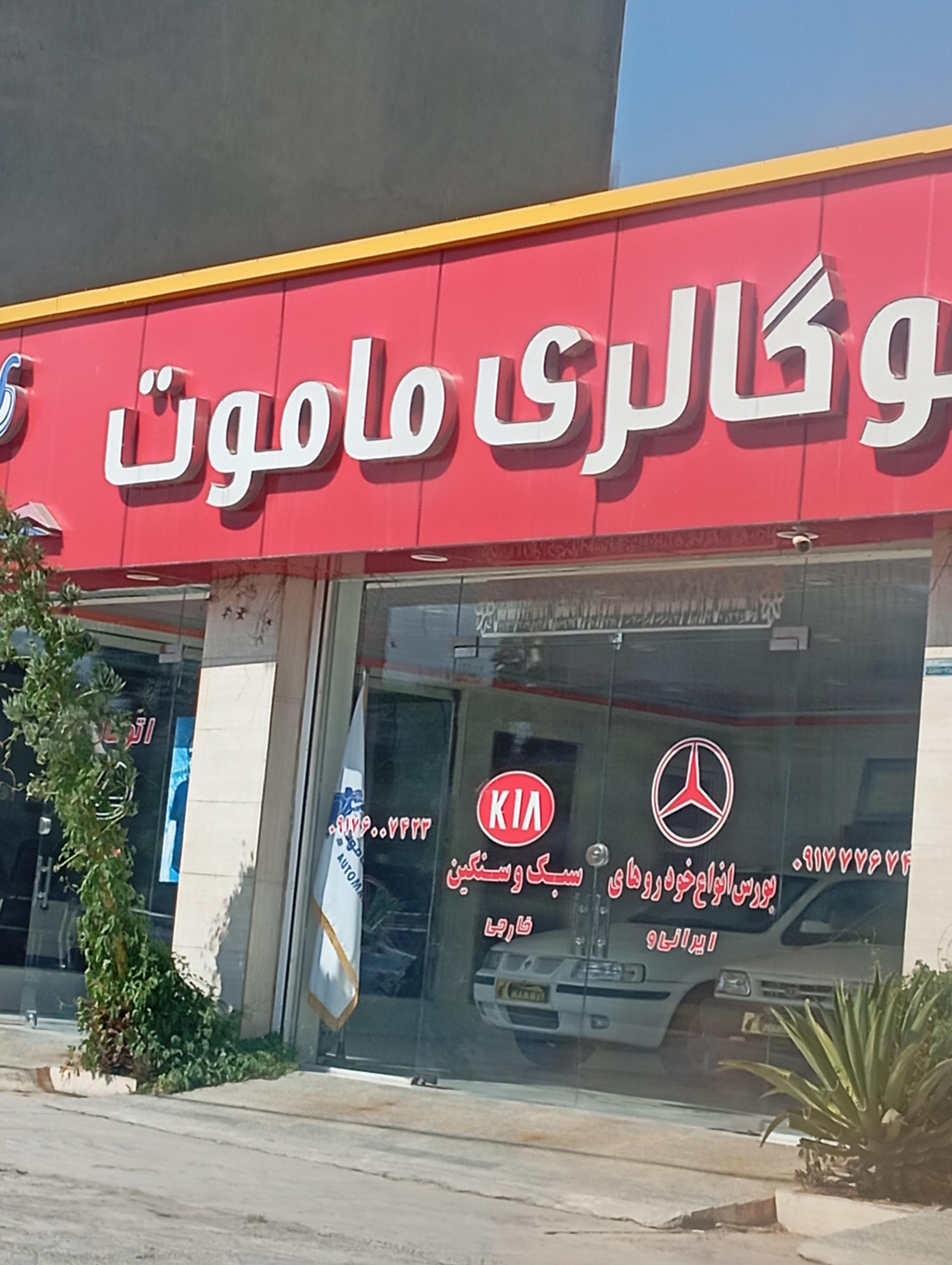 عکس اتو گالری ماموت