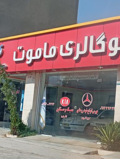 عکس اتو گالری ماموت