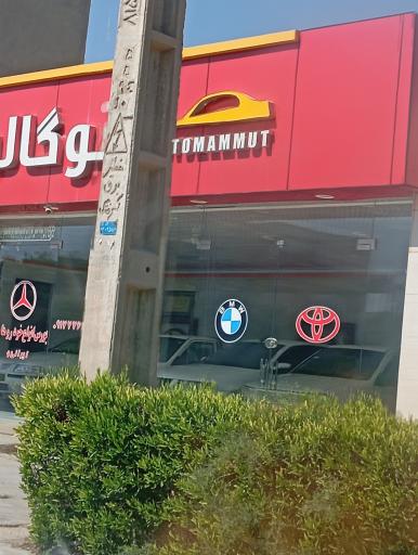 عکس اتو گالری ماموت