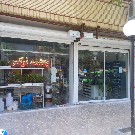سوپرمارکت چشمه نرگس