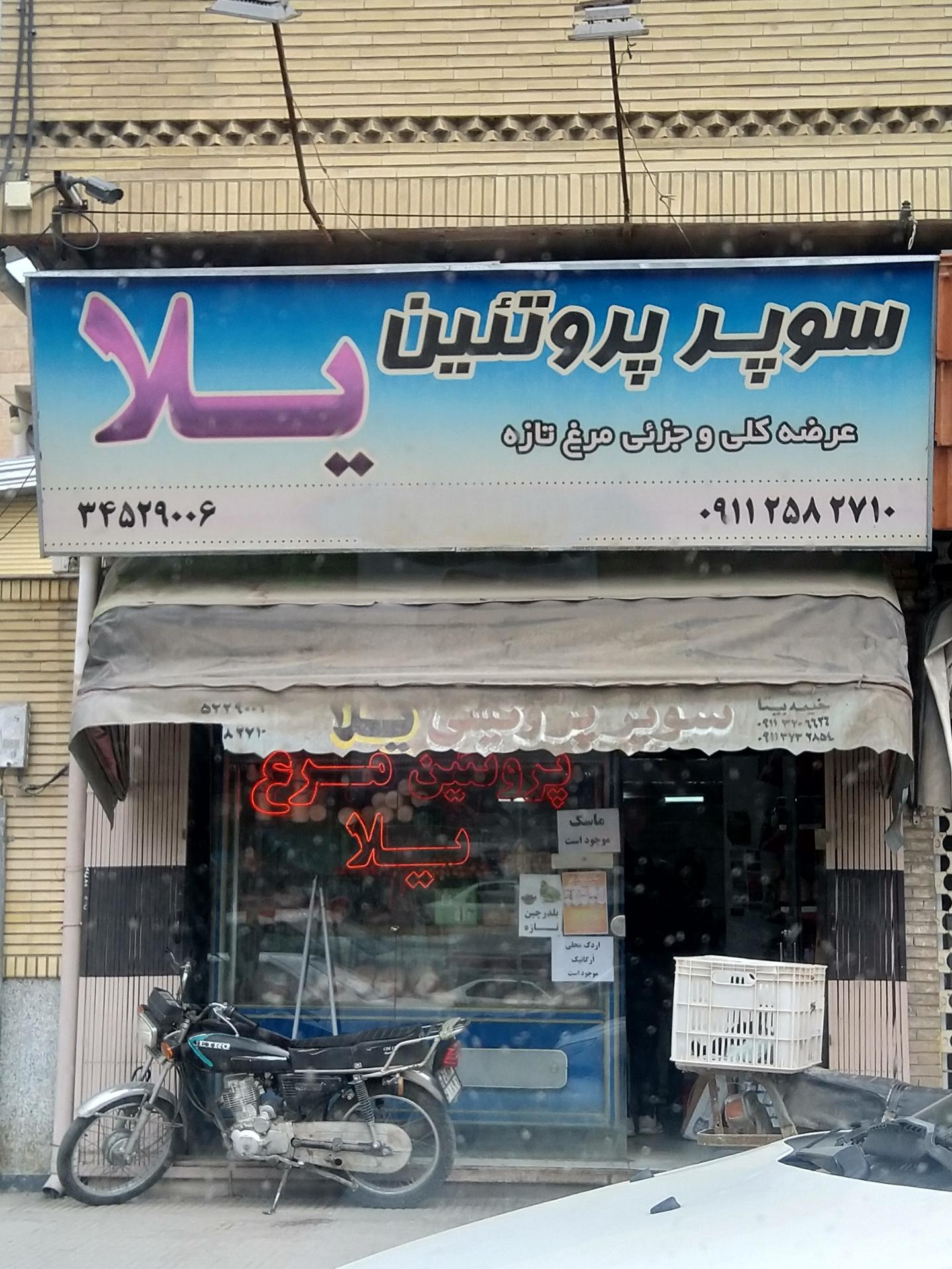 عکس پروتئین نجفی