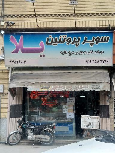 عکس پروتئین نجفی