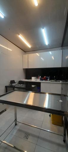 عکس کلینیک دامپزشکی کیا پت