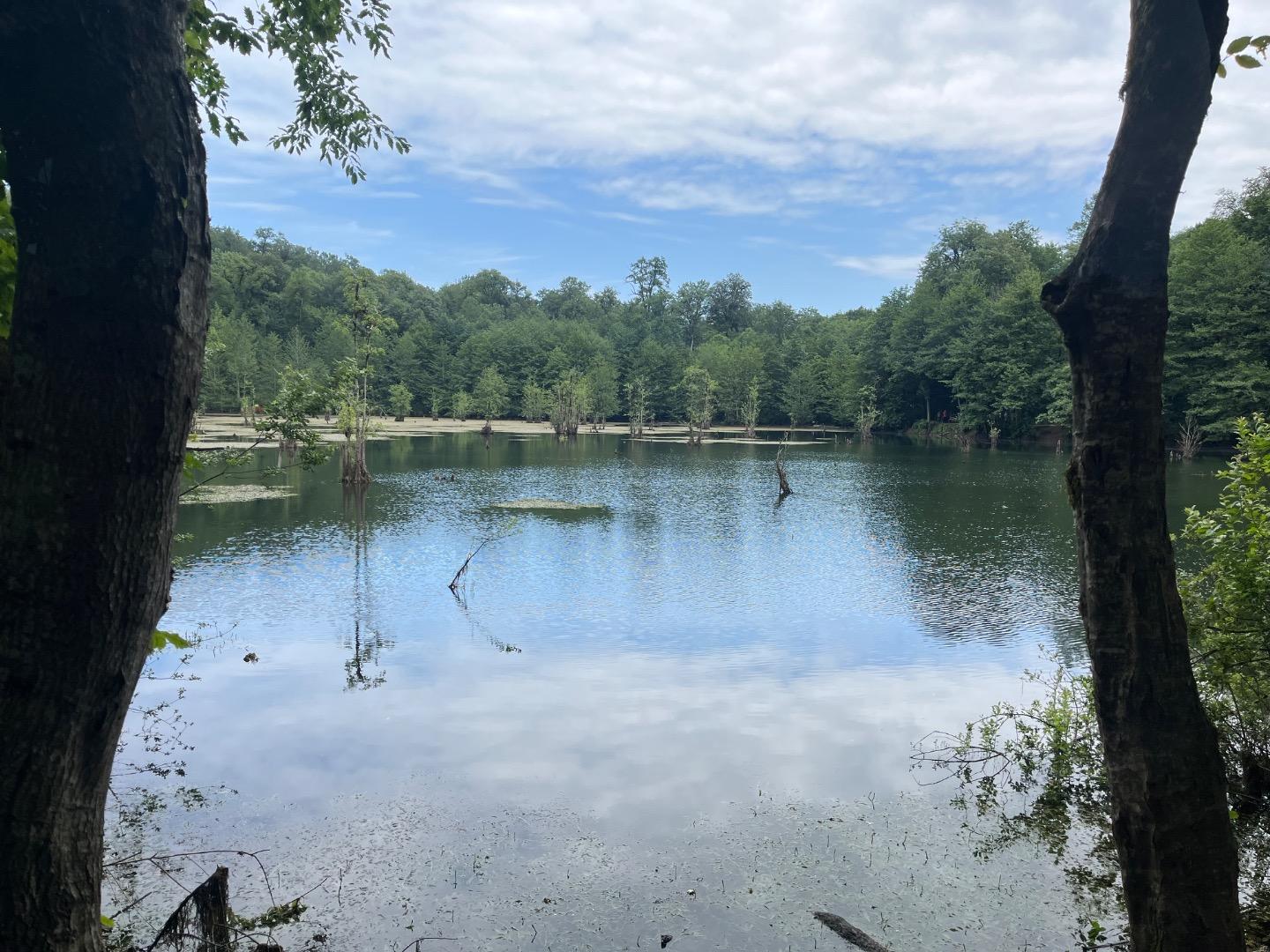 عکس دریاچه ارواح (دریاچه دشت ممرز)