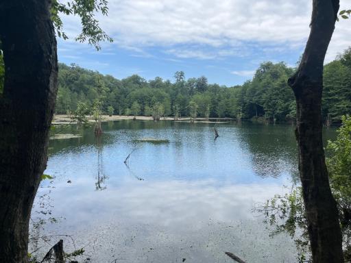 عکس دریاچه ارواح (دریاچه دشت ممرز)