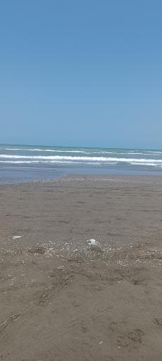 ساحل