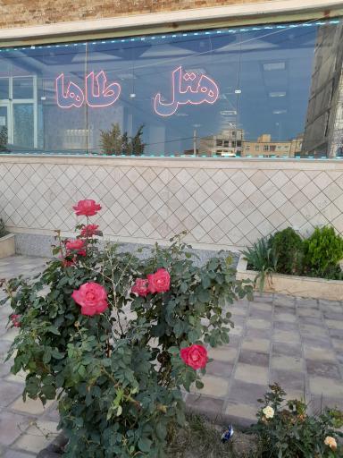 عکس هتل طاها در سرعین