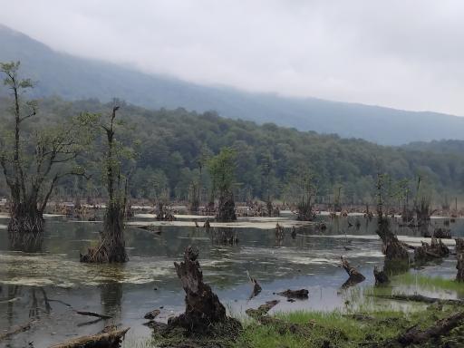 عکس دریاچه ارواح (دریاچه دشت ممرز)