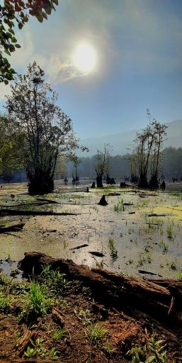 عکس دریاچه ارواح (دریاچه دشت ممرز)