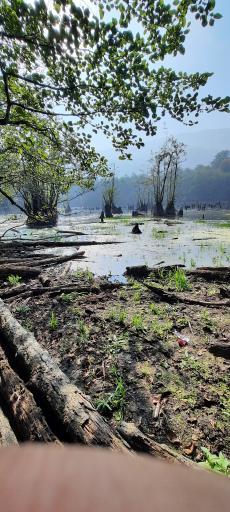 عکس دریاچه ارواح (دریاچه دشت ممرز)