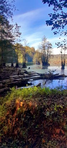 عکس دریاچه ارواح (دریاچه دشت ممرز)