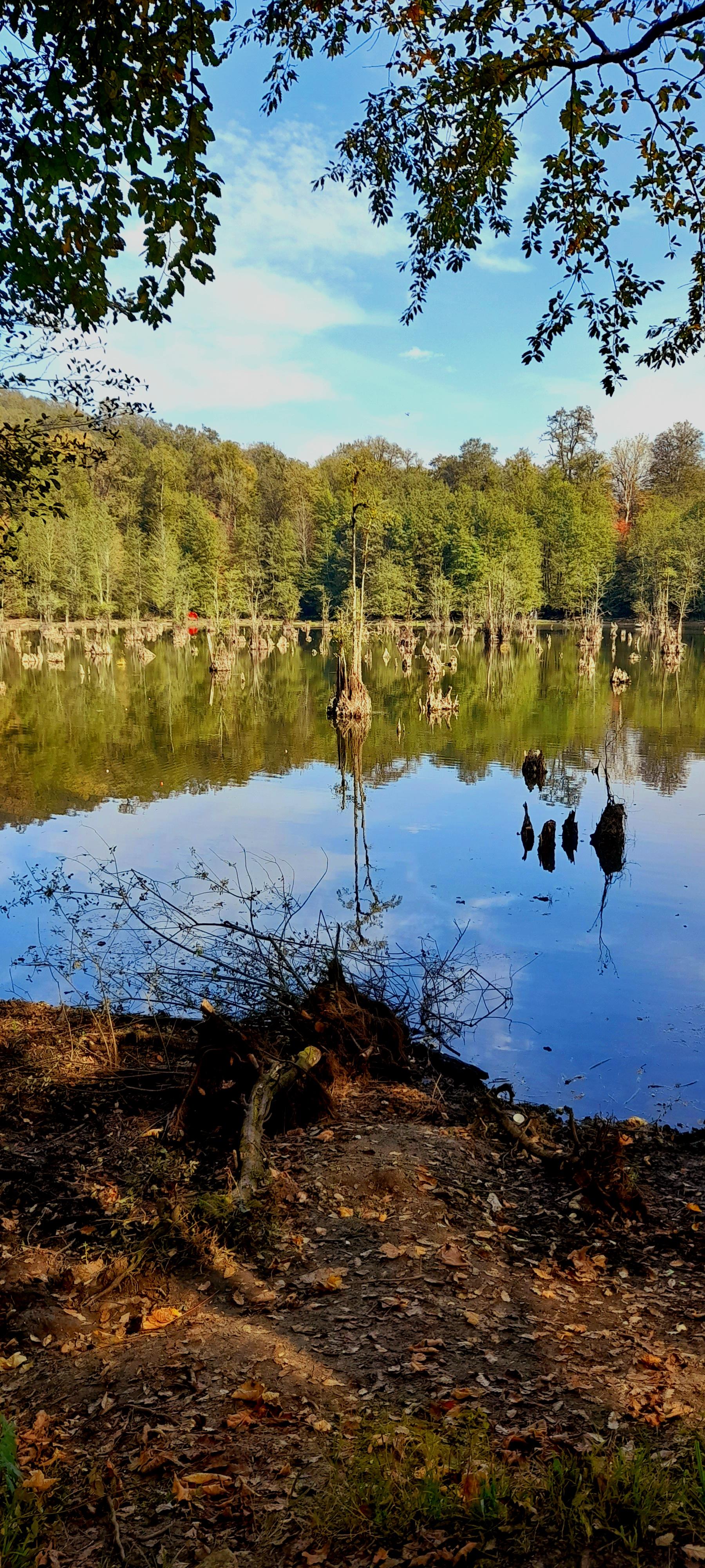 عکس دریاچه ارواح (دریاچه دشت ممرز)