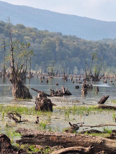 عکس دریاچه ارواح (دریاچه دشت ممرز)