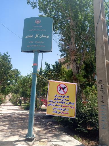 عکس بوستان گل بنفشه