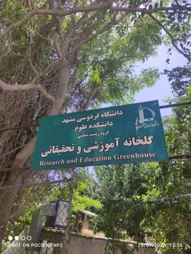 عکس گلخانه آموزشی و تحقیقاتی گروه زیست شناسی دانشگاه فردوسی
