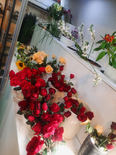 عکس گلسرای دشت بهشت