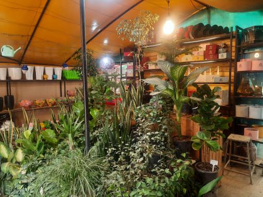 عکس گلسرای دشت بهشت