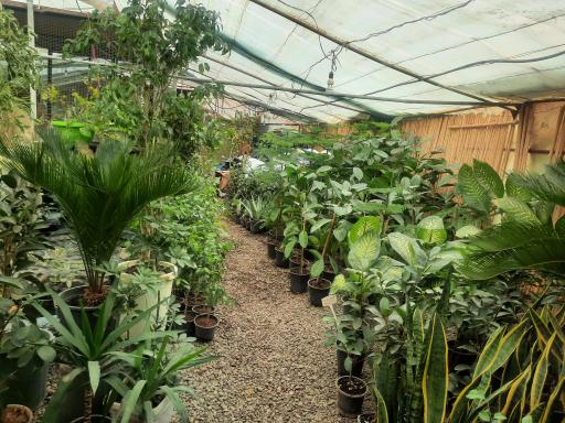 عکس گلسرای دشت بهشت