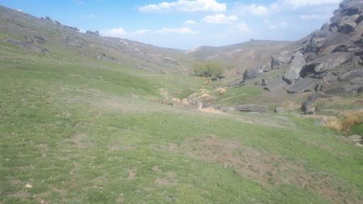 عکس کمری