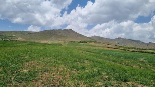 عکس کمری