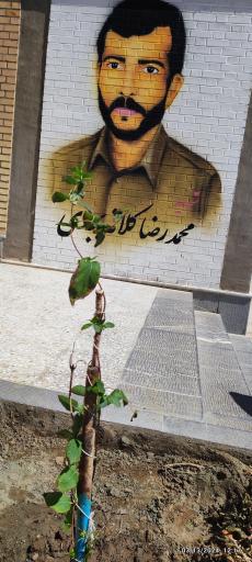 عکس مدرسه سلطان حدیدی پور٢