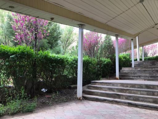 دانشگاه آزاد بیرجند