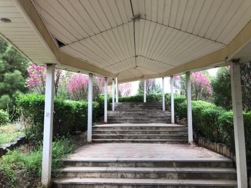 دانشگاه آزاد بیرجند