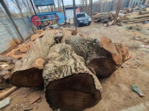 عکس چوبری و رام بری راژان