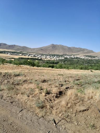 عکس کمری