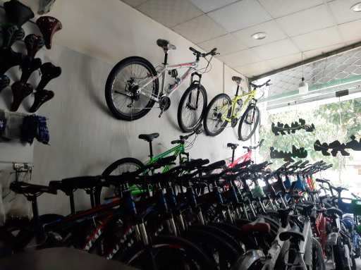 عکس دوچرخه رامی