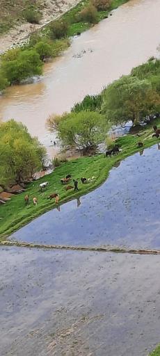 عکس رودخانه سزار