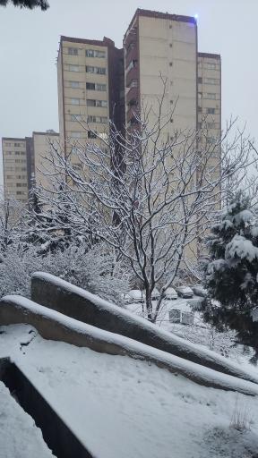 عکس شهرک شهید فلاحی