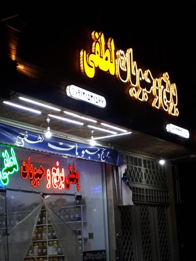 عکس پخش برنج و حبوبات لطفی 