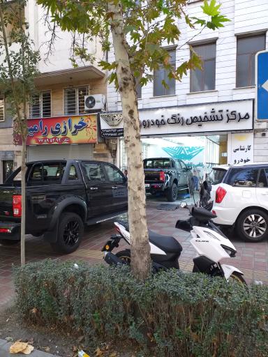 عکس کارشناسی و تشخیص رنگ خودرو رصد