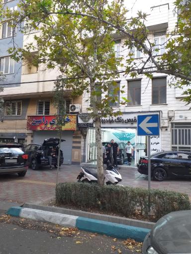 عکس کارشناسی و تشخیص رنگ خودرو رصد