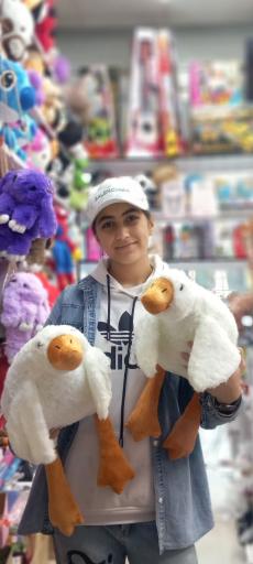 عکس لوازم تحریر و اسباب بازی هدیه