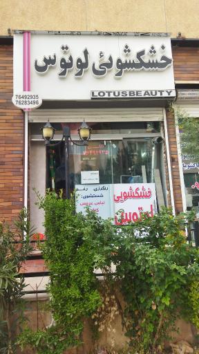 عکس خشکشویی لوتوس