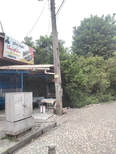 عکس تهیه غذای سارا و نیکا