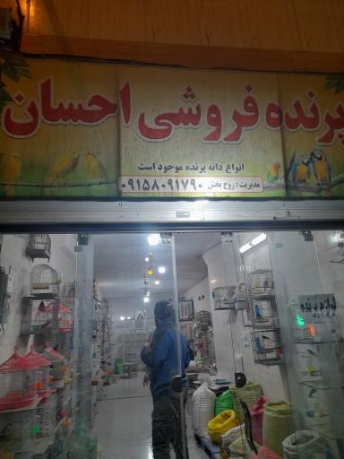 عکس پرنده فروشی احسان