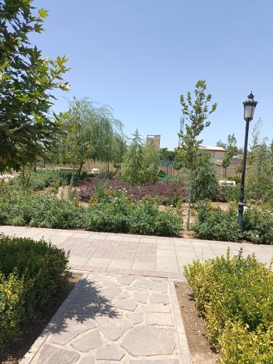 عکس پارک جوان