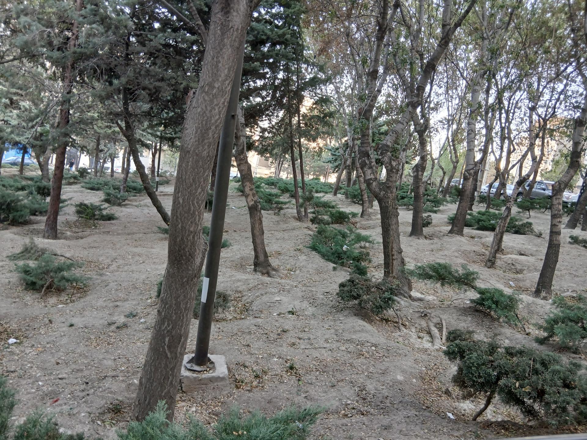 عکس پارک ابن سینا