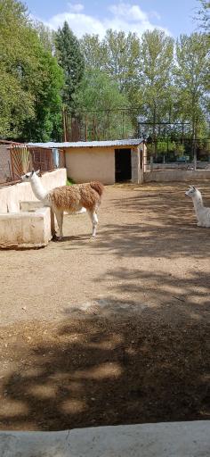 عکس مرکز حیات وحش البرز