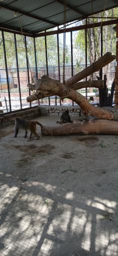 عکس مرکز حیات وحش البرز