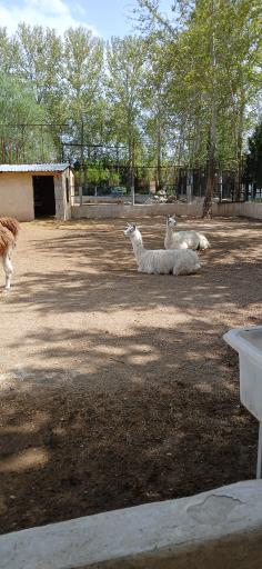 عکس مرکز حیات وحش البرز